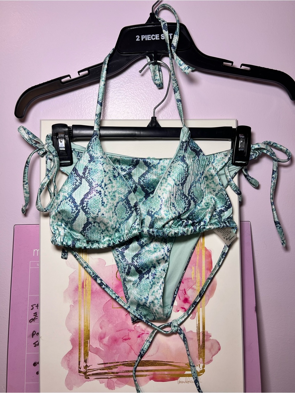Seafoam Snake-Print Tie Bikini Set - Women